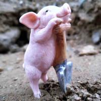 小猪佩琦的姐姐头像