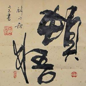 顿悟93011767