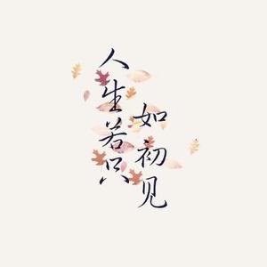 半世飞仙
