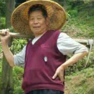 楼梯板凳