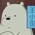 快手王小歪 头像