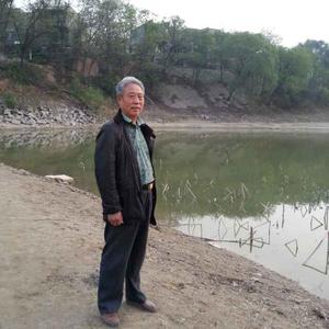 马振廷1