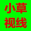 小草视线 头像