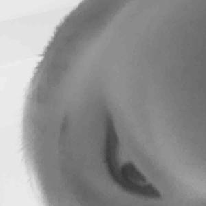 用电影看世界的罡3377
