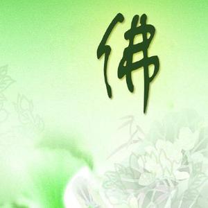 朱八戒CC