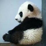 想想取啥名好呢头像