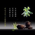 啤酒一瓶醉 头像