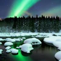 和谐之春771头像