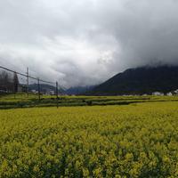 热点不是点头像