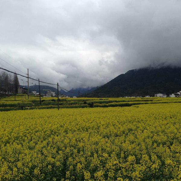 热点不是点头像