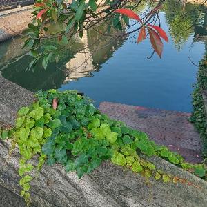 看清楚活通透 头像