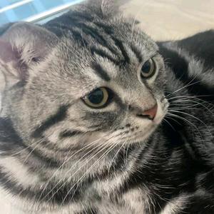 佳惠看世界 头像