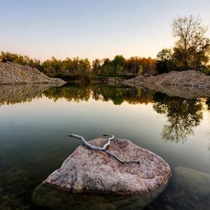 老王科普A 头像