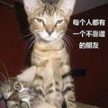 涛如烨