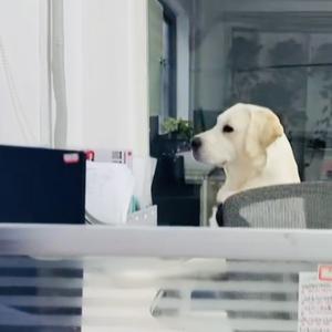 🎀鱼－＿＊ 头像