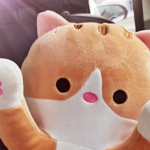 清新糯米OO 头像