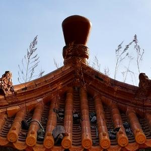 快看那小子说升学 头像