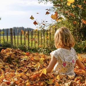 阿毛爱科普 头像