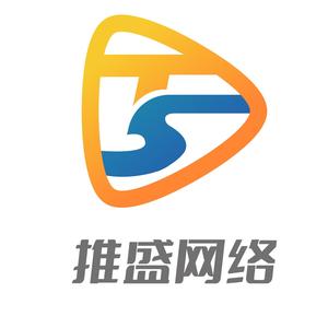 推盛网络 头像