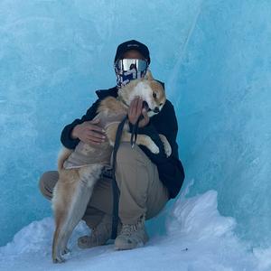 洋芋好吃虚拟宇宙王国 头像