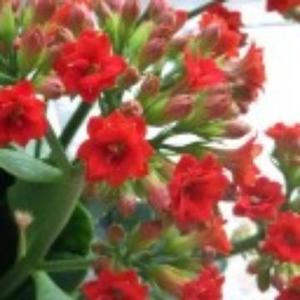 阅读V悦读 头像