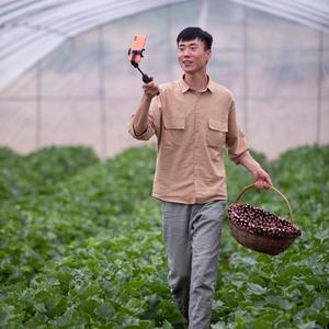 西北娃贝贝乡村优选 头像