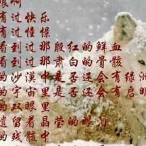 雪狼青春的火 头像