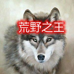 荒野之王 头像