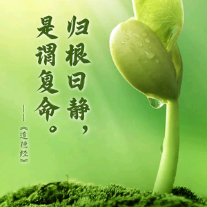 满目山河人间 头像