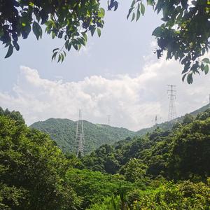 娱人码头 头像