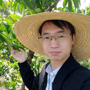 水蜜桃吴伯伯 头像