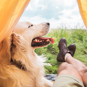 倾心家庭指南 头像