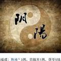 充满元气的龙的后人