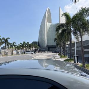 枫叶MapleJordan 头像