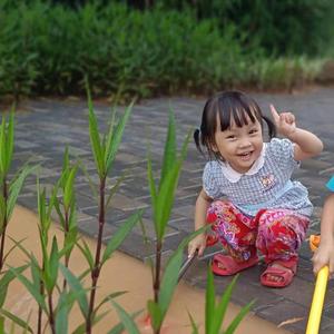 做个普通人简简单单 头像