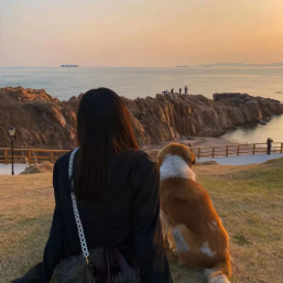 阿楠旅行菌 头像