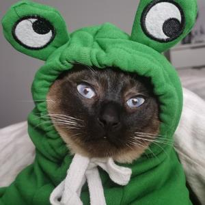 是美芽呀呀 头像