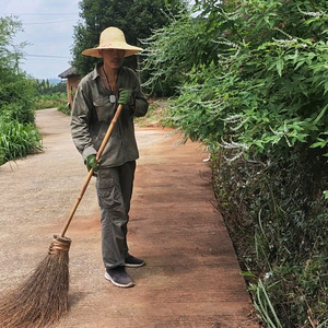 阿平的回村守护日记头像