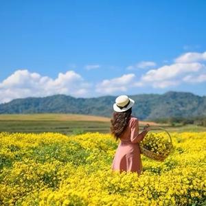 尧尧看世界 头像