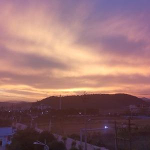 文文陪你谈天说地 头像