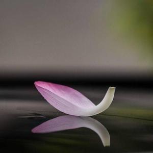 医学微直播 头像