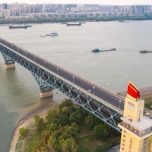 小金果工程 头像