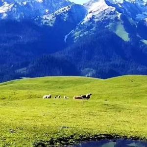 一轮骄阳红似火 头像