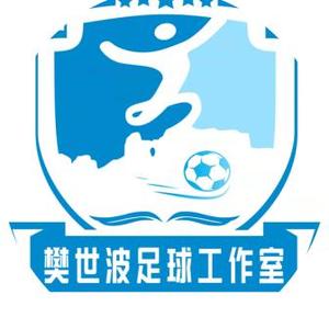 天门小学樊世波足球工作室 头像