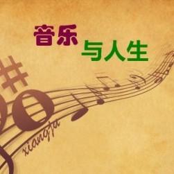 伟伟视听 头像