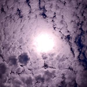 岩缝探宝的寻奇人 头像