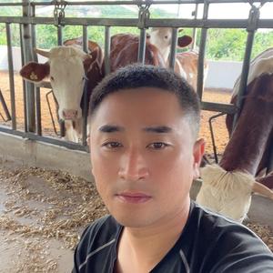 养牛人老宋(晚7点直播) 头像