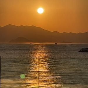 小羊看看世界 头像