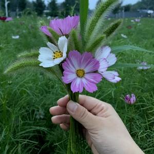 小闲侃娱乐 头像