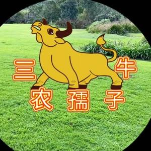 三农孺子牛